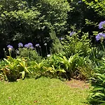 Villa-sleeps2-garden-private Park