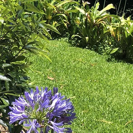 Villa-sleeps2-garden-private Park וילה *