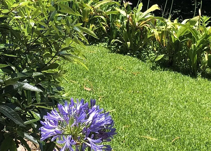 Villa-sleeps2-garden-private Park فيلة *